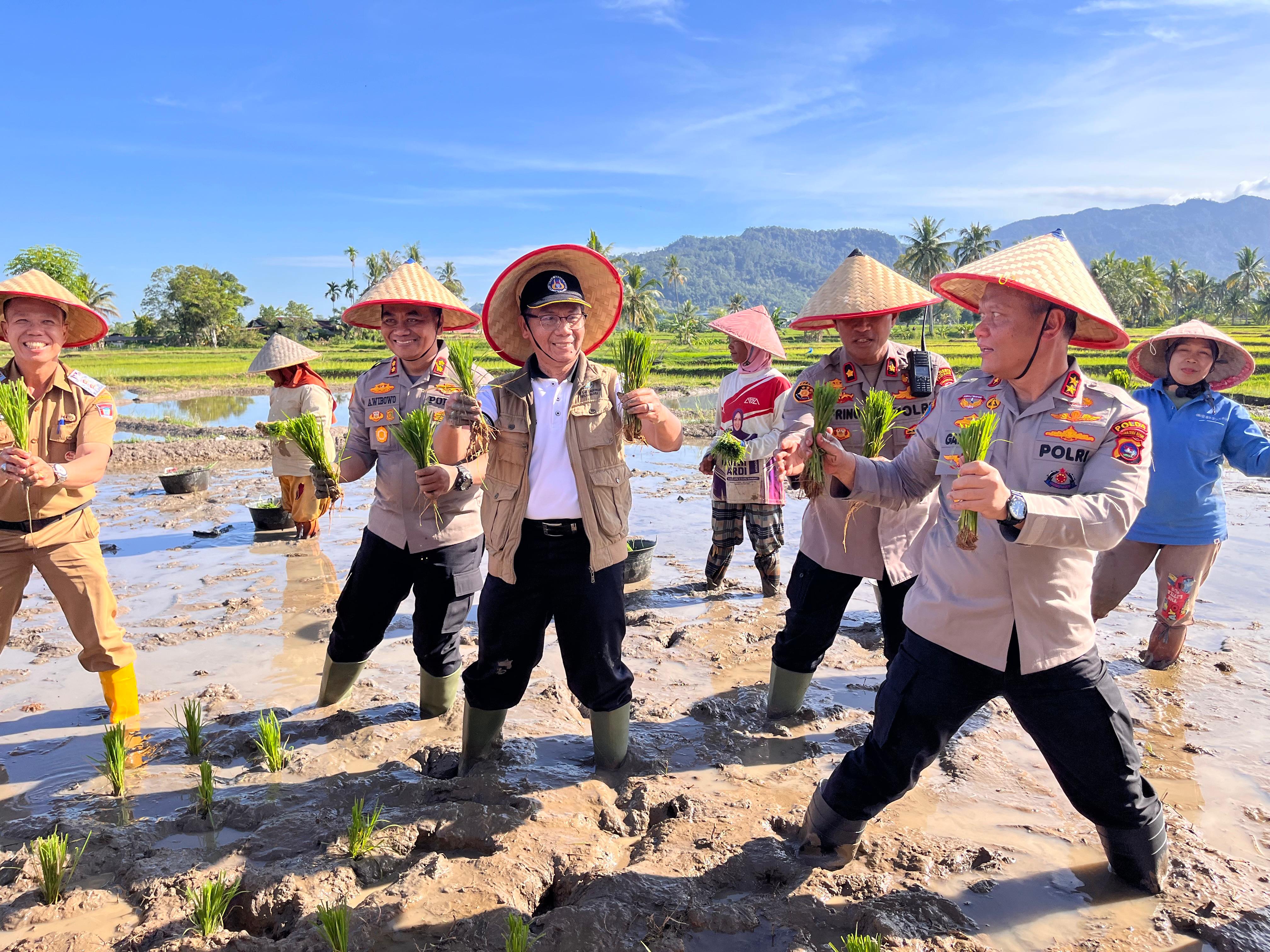 Kapolda Sumbar Tanam Padi Dukung Swasembada Pangan 2025 di Koto Tangah, Padang